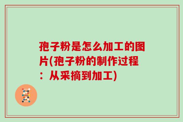 孢子粉是怎么加工的图片(孢子粉的制作过程：从采摘到加工)