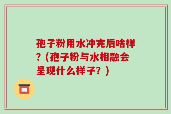 孢子粉用水冲完后啥样?(孢子粉与水相融会呈现什么样子?)