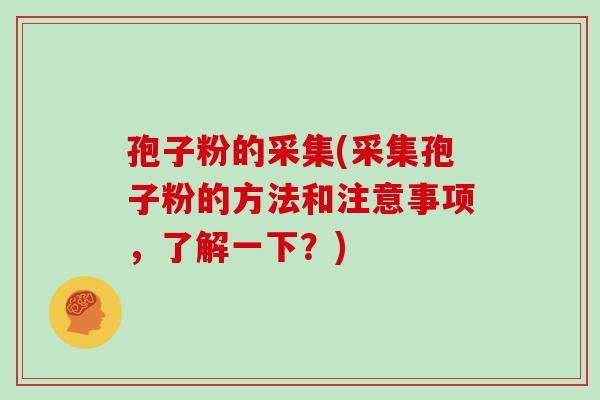 孢子粉的采集(采集孢子粉的方法和注意事项,了解一下?)