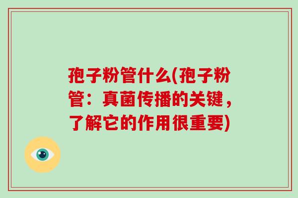 孢子粉管什么(孢子粉管:真菌传播的关键,了解它的作用很重要)