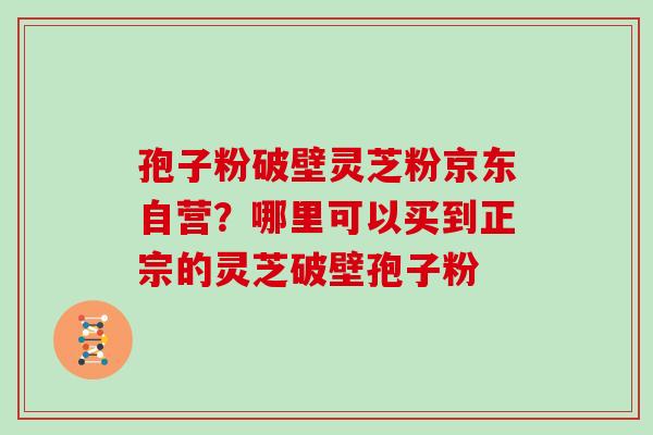孢子粉破壁灵芝粉京东自营?哪里可以买到正宗的灵芝破壁孢子粉