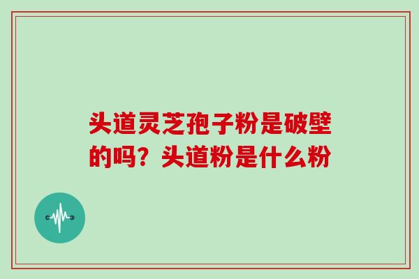 头道灵芝孢子粉是破壁的吗？头道粉是什么粉