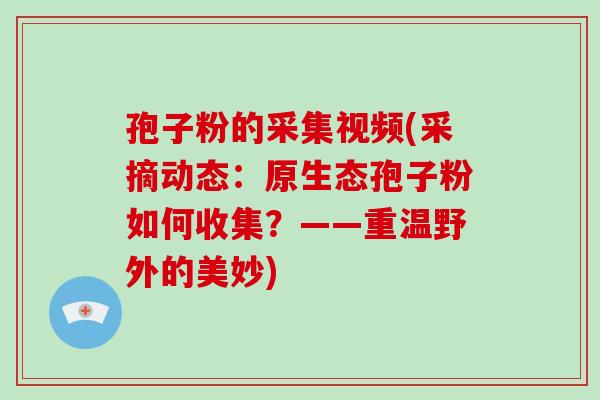 孢子粉的采集视频(采摘动态:原生态孢子粉如何收集?——重温野外的美妙)