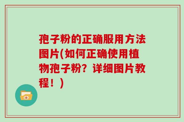 孢子粉的正确服用方法图片(如何正确使用植物孢子粉?详细图片教程!)