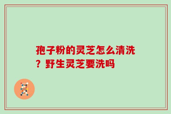 孢子粉的灵芝怎么清洗？野生灵芝要洗吗