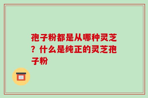 孢子粉都是从哪种灵芝？什么是纯正的灵芝孢子粉