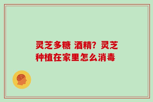 灵芝多糖 酒精?灵芝种植在家里怎么消毒