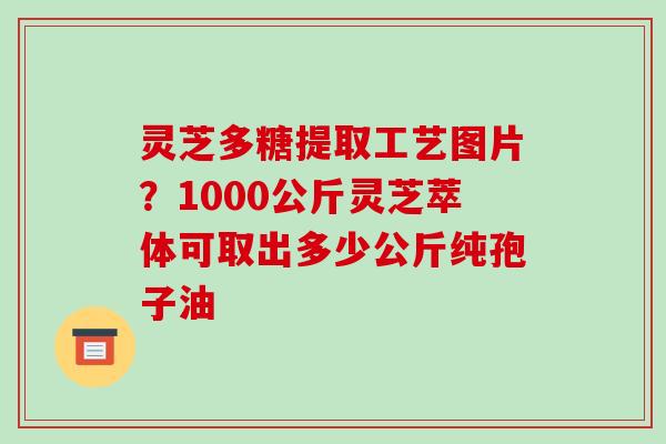 灵芝多糖提取工艺图片?1000公斤灵芝萃体可取出多少公斤纯孢子油