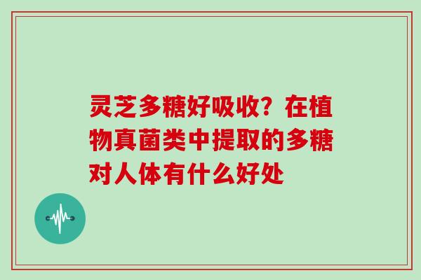 灵芝多糖好吸收？在植物真菌类中提取的多糖对人体有什么好处
