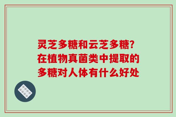 灵芝多糖和云芝多糖？在植物真菌类中提取的多糖对人体有什么好处
