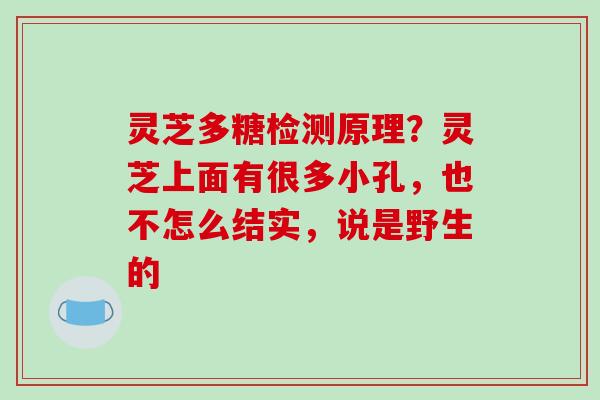 灵芝多糖检测原理？灵芝上面有很多小孔，也不怎么结实，说是野生的