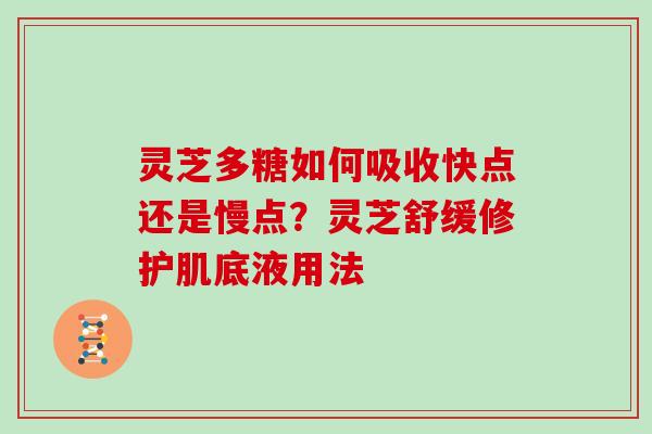 灵芝多糖如何吸收快点还是慢点？灵芝舒缓修护肌底液用法