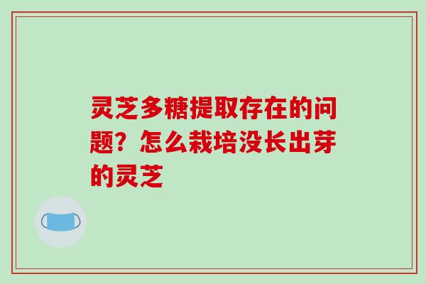 灵芝多糖提取存在的问题?怎么栽培没长出芽的灵芝