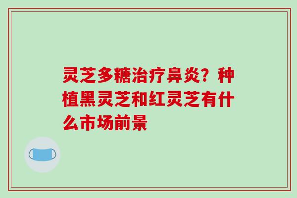 灵芝多糖治疗鼻炎?种植黑灵芝和红灵芝有什么市场前景