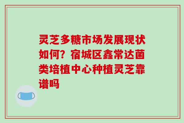 灵芝多糖市场发展现状如何?宿城区鑫常达菌类培植中心种植灵芝靠谱吗