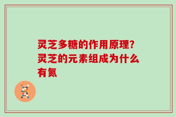 灵芝多糖的作用原理?灵芝的元素组成为什么有氮