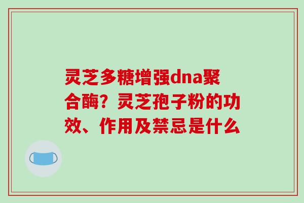 灵芝多糖增强dna聚合酶?灵芝孢子粉的功效、作用及禁忌是什么