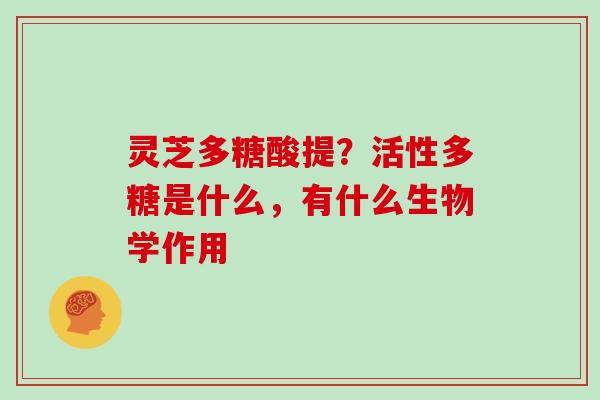 灵芝多糖酸提?活性多糖是什么,有什么生物学作用