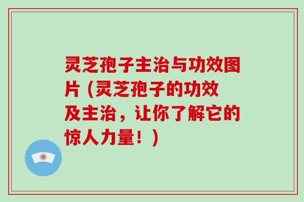 灵芝孢子主治与功效图片 (灵芝孢子的功效及主治,让你了解它的惊人力量!)
