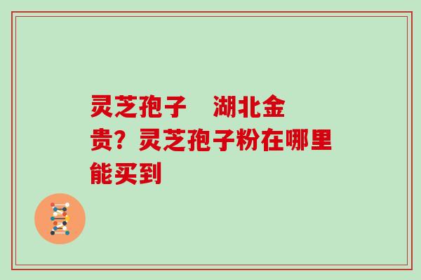 灵芝孢子 湖北金贵?灵芝孢子粉在哪里能买到