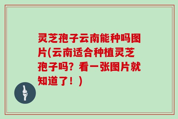 灵芝孢子云南能种吗图片(云南适合种植灵芝孢子吗?看一张图片就知道了!)