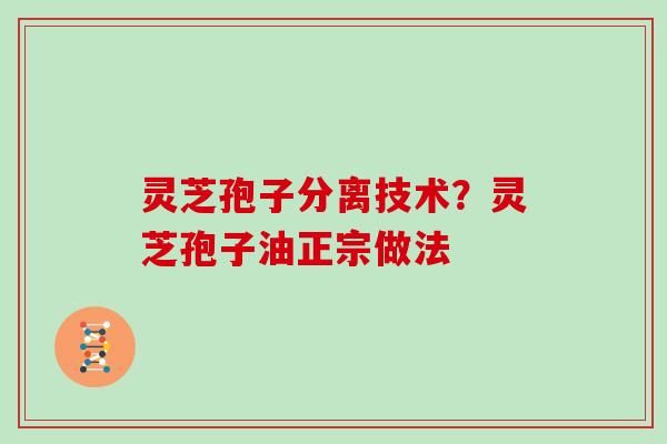 灵芝孢子分离技术?灵芝孢子油正宗做法