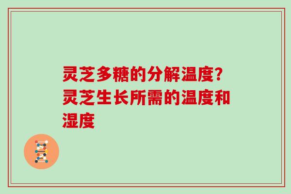 灵芝多糖的分解温度？灵芝生长所需的温度和湿度