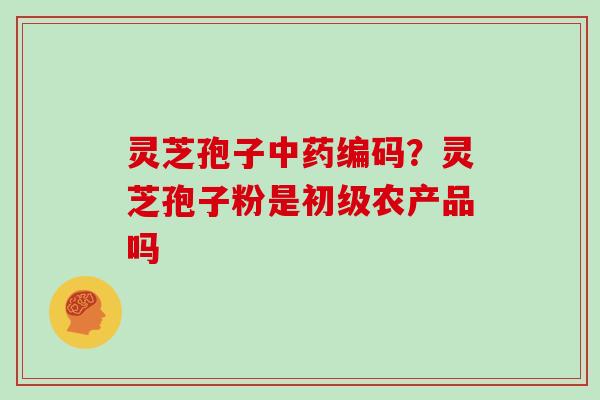 灵芝孢子中药编码？灵芝孢子粉是初级农产品吗