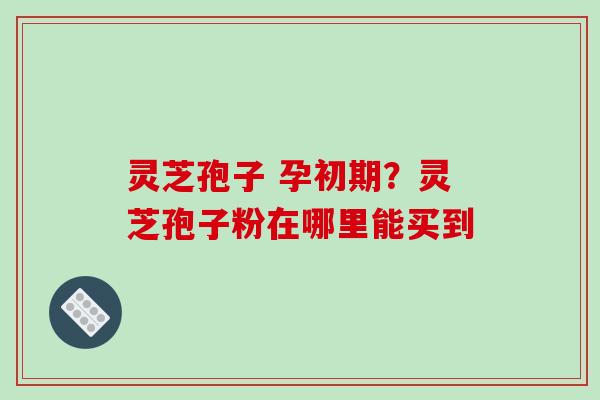 灵芝孢子 孕初期?灵芝孢子粉在哪里能买到