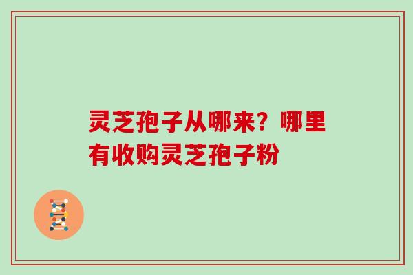 灵芝孢子从哪来？哪里有收购灵芝孢子粉