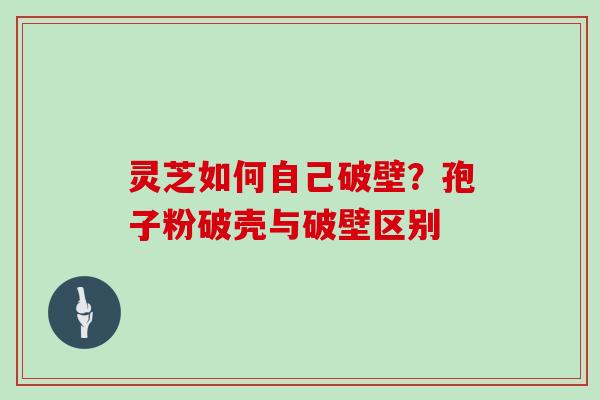 灵芝如何自己破壁?孢子粉破壳与破壁区别