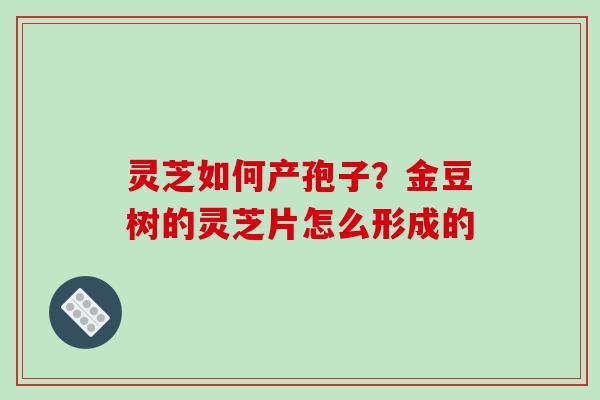 灵芝如何产孢子?金豆树的灵芝片怎么形成的