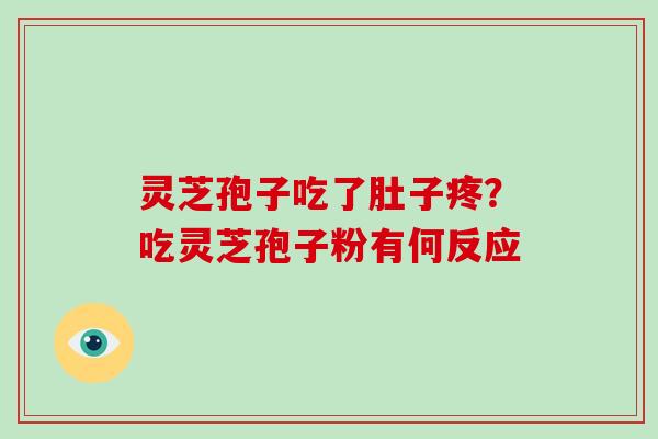 灵芝孢子吃了肚子疼?吃灵芝孢子粉有何反应