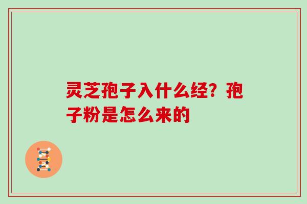 灵芝孢子入什么经?孢子粉是怎么来的