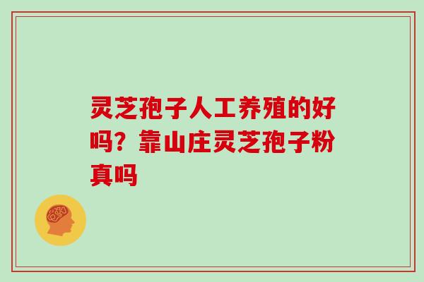 灵芝孢子人工养殖的好吗?靠山庄灵芝孢子粉真吗