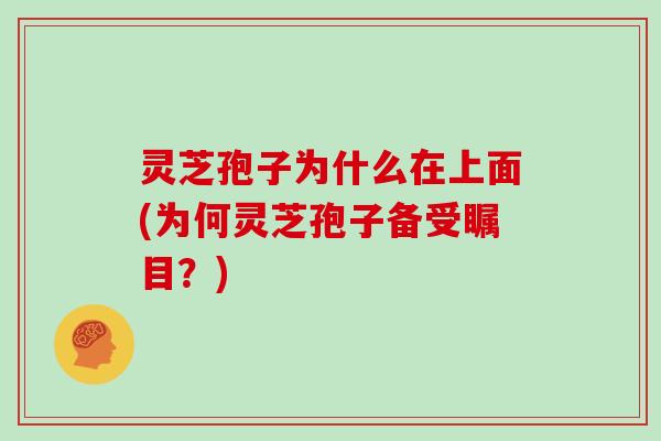 灵芝孢子为什么在上面(为何灵芝孢子备受瞩目?)