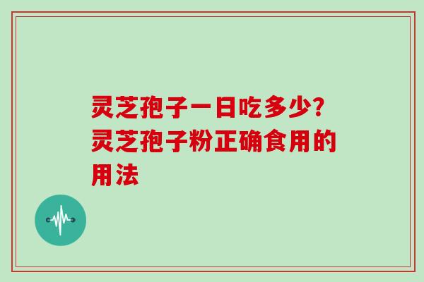 灵芝孢子一日吃多少?灵芝孢子粉正确食用的用法