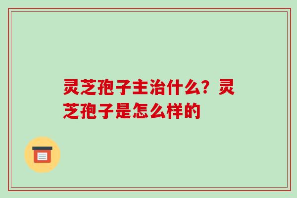 灵芝孢子主治什么?灵芝孢子是怎么样的