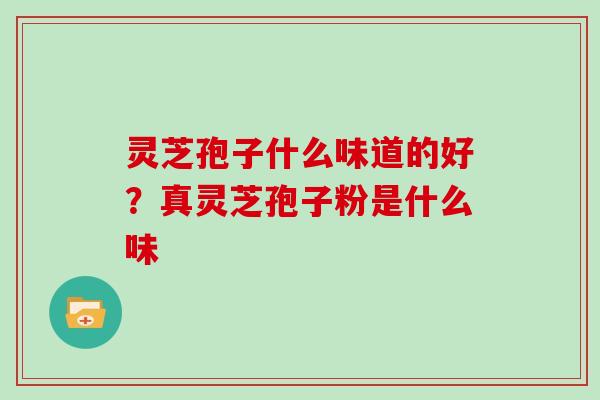 灵芝孢子什么味道的好?真灵芝孢子粉是什么味