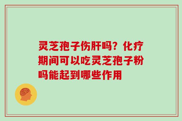 灵芝孢子伤肝吗?化疗期间可以吃灵芝孢子粉吗能起到哪些作用