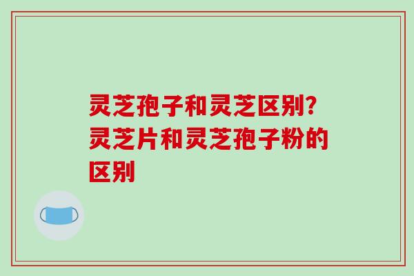 灵芝孢子和灵芝区别?灵芝片和灵芝孢子粉的区别
