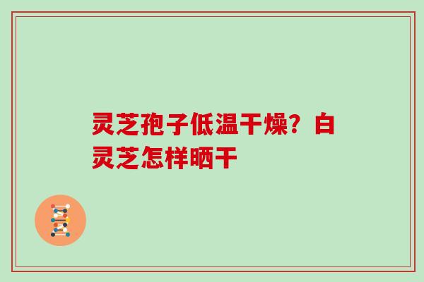 灵芝孢子低温干燥?白灵芝怎样晒干