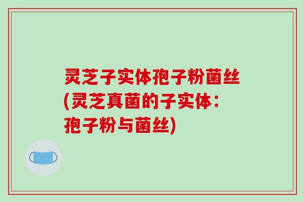 灵芝子实体孢子粉菌丝(灵芝真菌的子实体：孢子粉与菌丝)