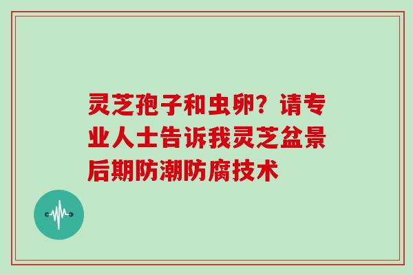 灵芝孢子和虫卵？请专业人士告诉我灵芝盆景后期防潮防腐技术