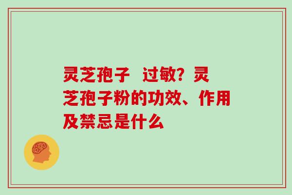 灵芝孢子  过敏？灵芝孢子粉的功效、作用及禁忌是什么