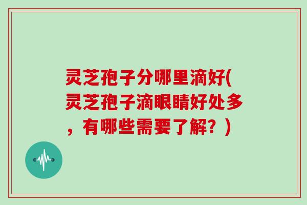 灵芝孢子分哪里滴好(灵芝孢子滴眼睛好处多,有哪些需要了解?)