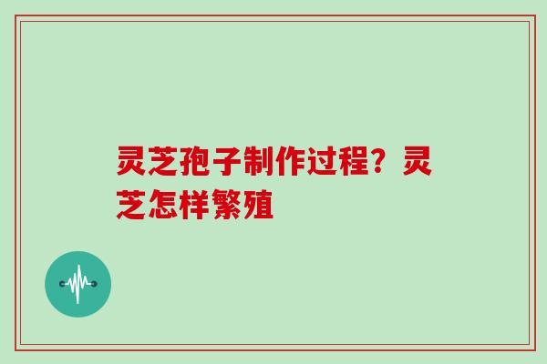 灵芝孢子制作过程？灵芝怎样繁殖