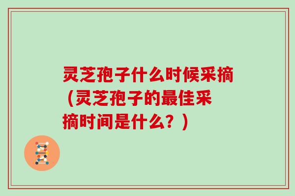 灵芝孢子什么时候采摘 (灵芝孢子的最佳采摘时间是什么?)
