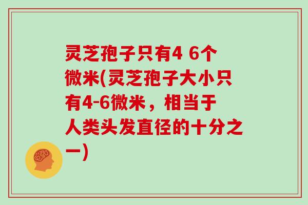 灵芝孢子只有4 6个微米(灵芝孢子大小只有4-6微米,相当于人类头发直径的十分之一)