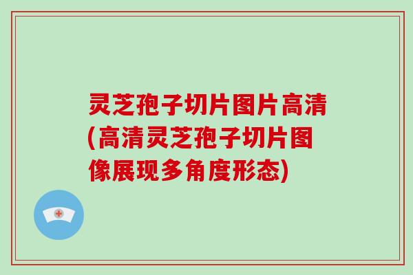 灵芝孢子切片图片高清(高清灵芝孢子切片图像展现多角度形态)